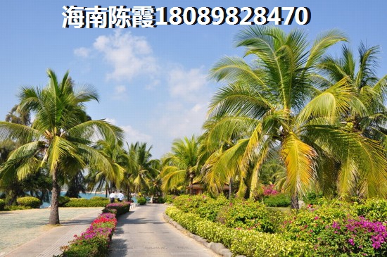 云南的房子生纸的空间大吗？