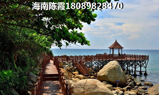勐巴拉雨林小镇 一居  户型图