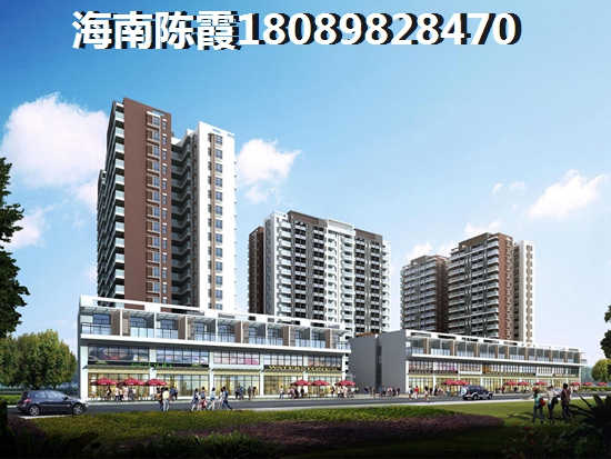 城市公寓 一居  户型图